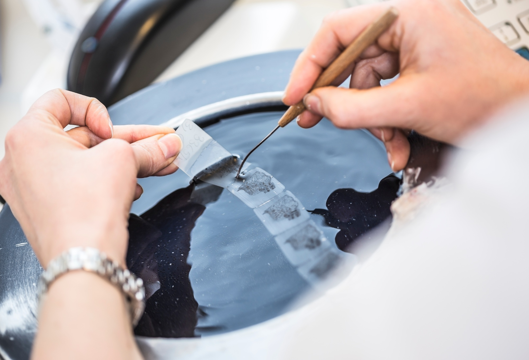 Producing of histological slides