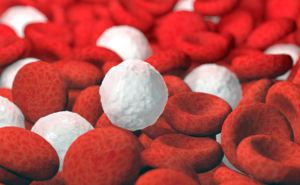 red and white blood cells, 3D illustration